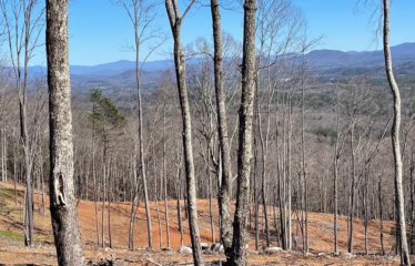 Murphy NC, USA