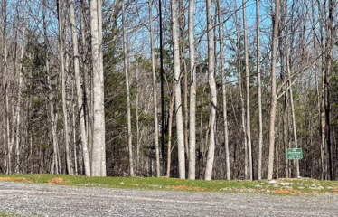 Murphy NC, USA