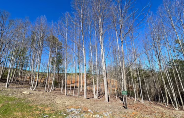Murphy NC, USA