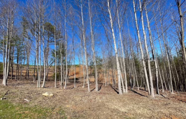 Murphy NC, USA