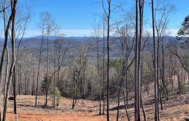 Murphy NC, USA