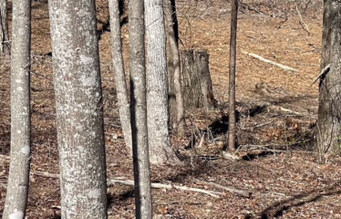 Murphy NC, USA