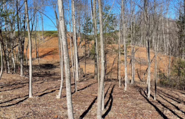 Murphy NC, USA