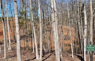 Murphy NC, USA
