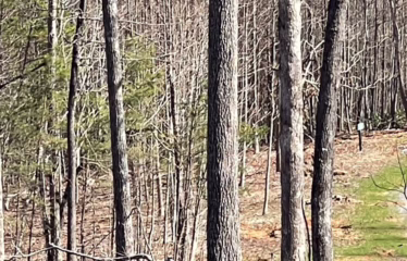 Murphy NC, USA