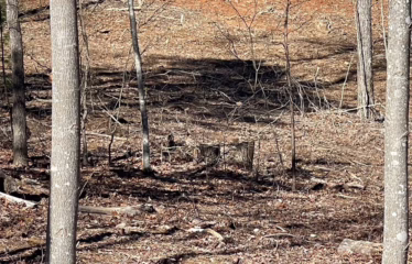 Murphy NC, USA