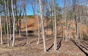 Murphy NC, USA