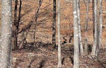 Murphy NC, USA