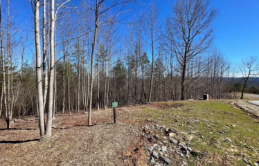 Murphy NC, USA