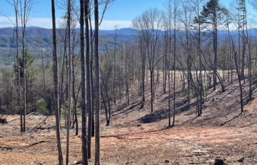 Murphy NC, USA
