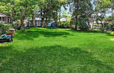 1514 High St